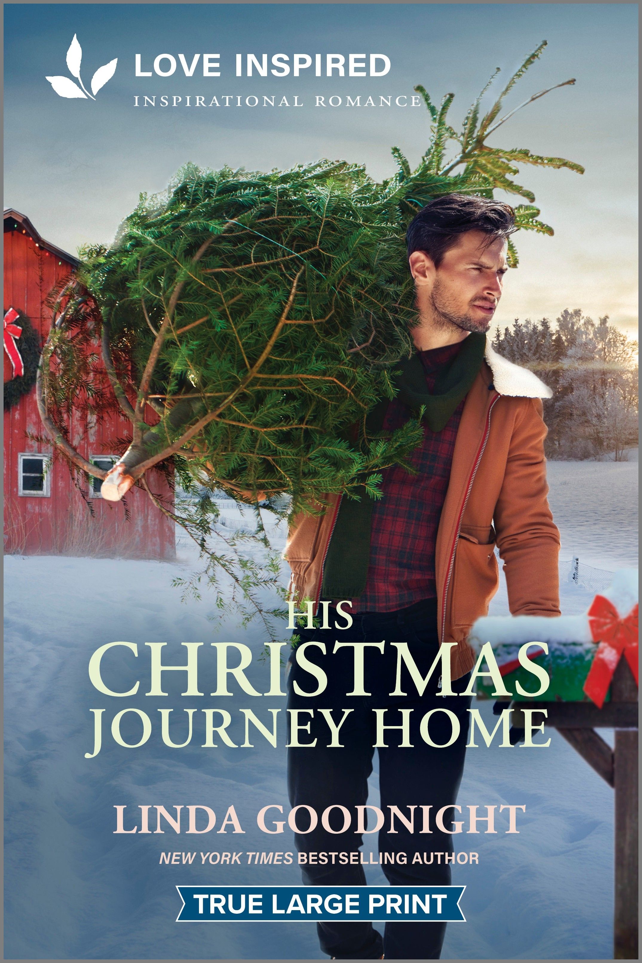 His Christmas Journey Home