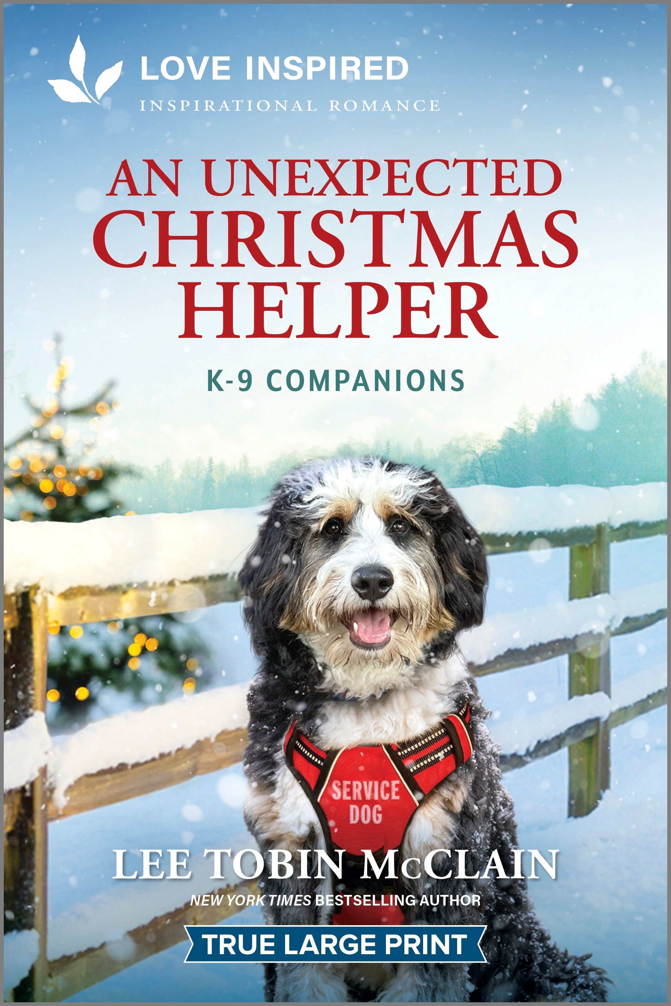 An Unexpected Christmas Helper