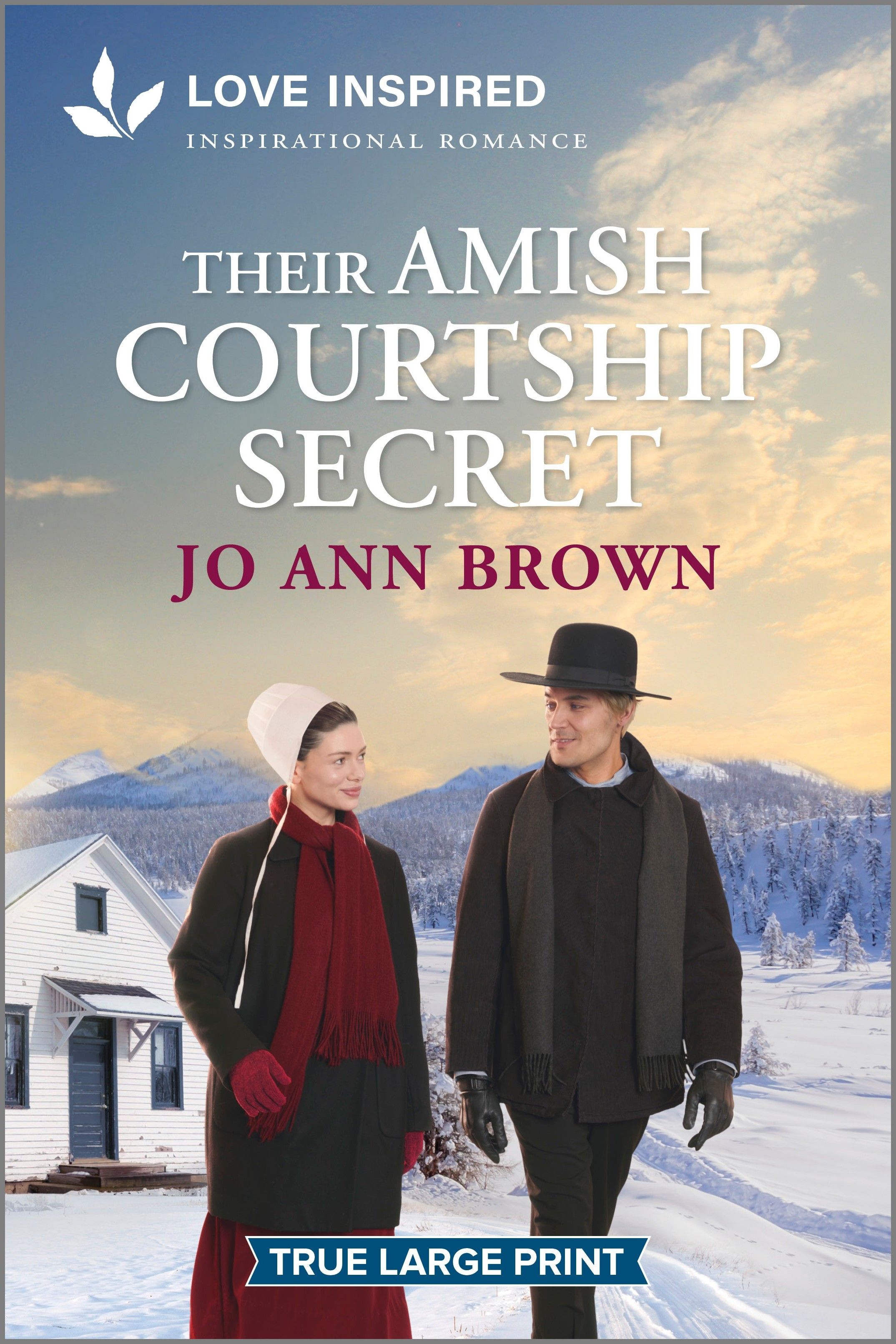 Their Amish Courtship Secret