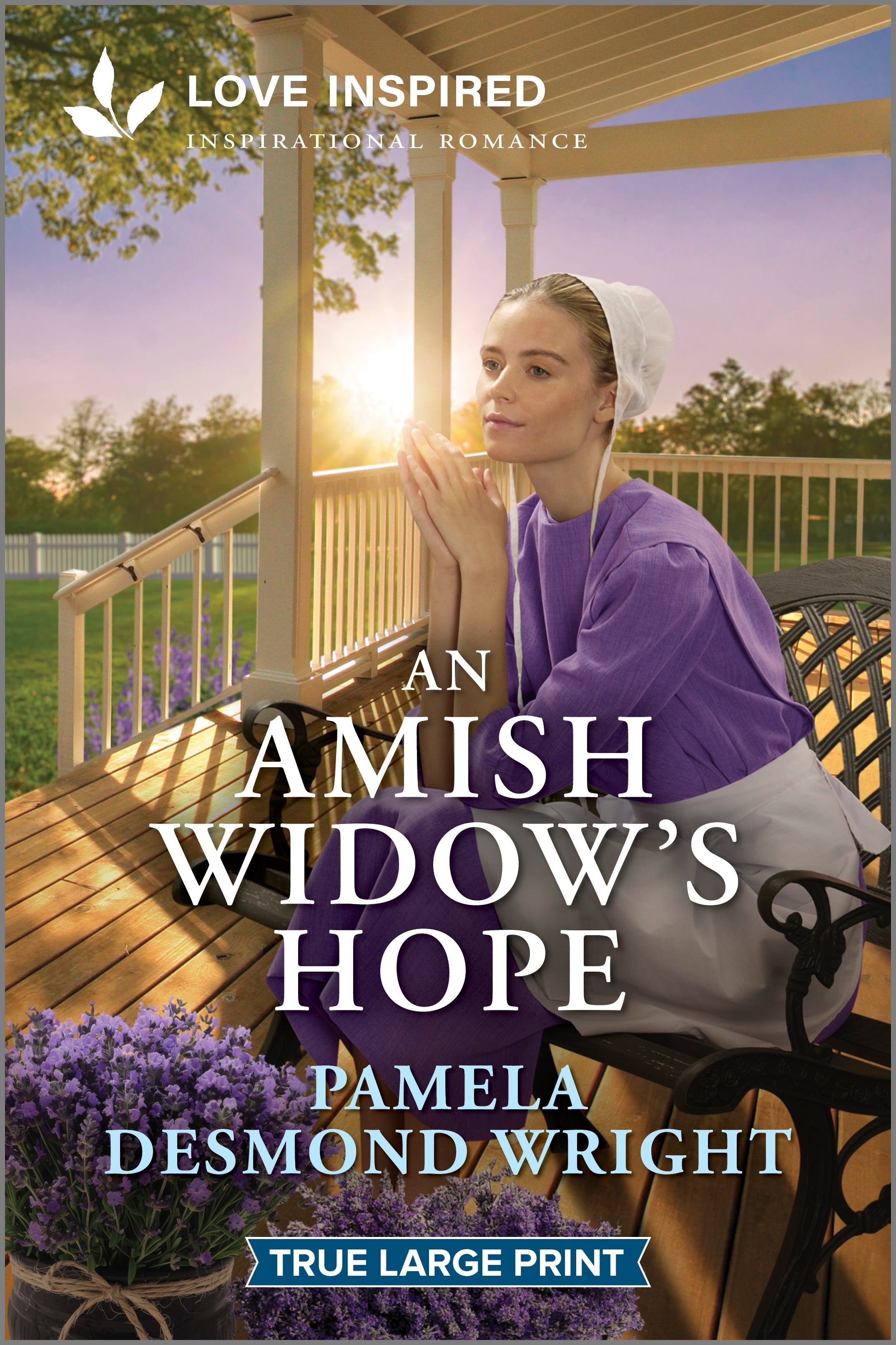 An Amish Widow's Hope