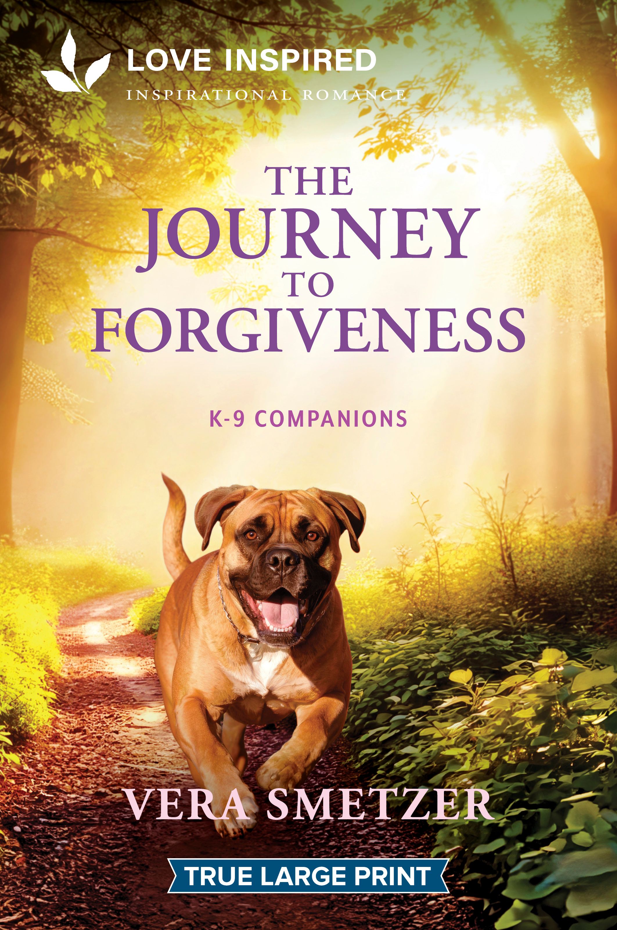The Journey to Forgiveness