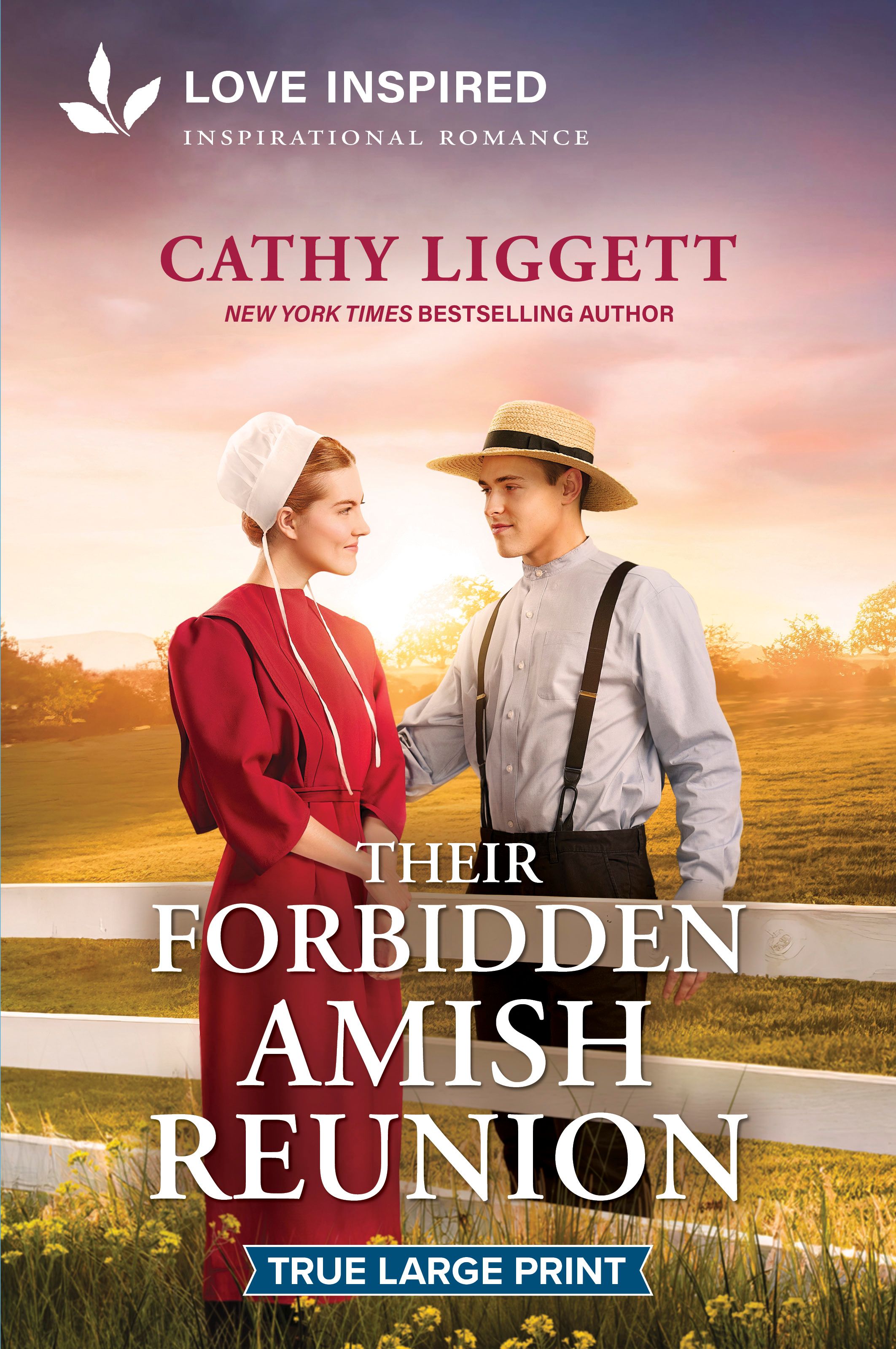 Their Forbidden Amish Reunion