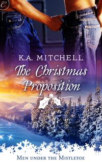 the-christmas-proposition