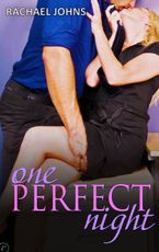 One Perfect Night eBook  by Rachael Johns
