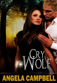 cry-wolf