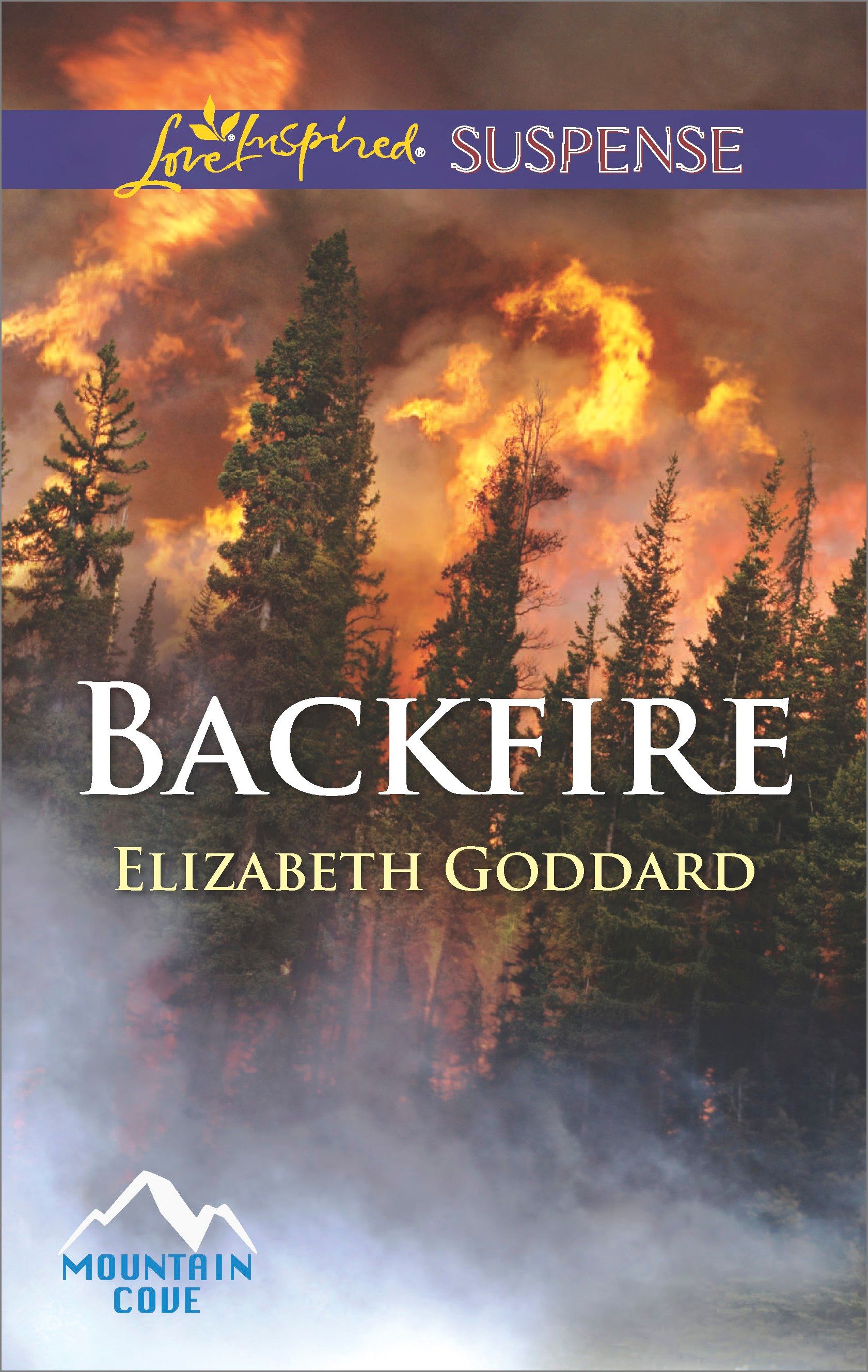 Backfire Book Cover