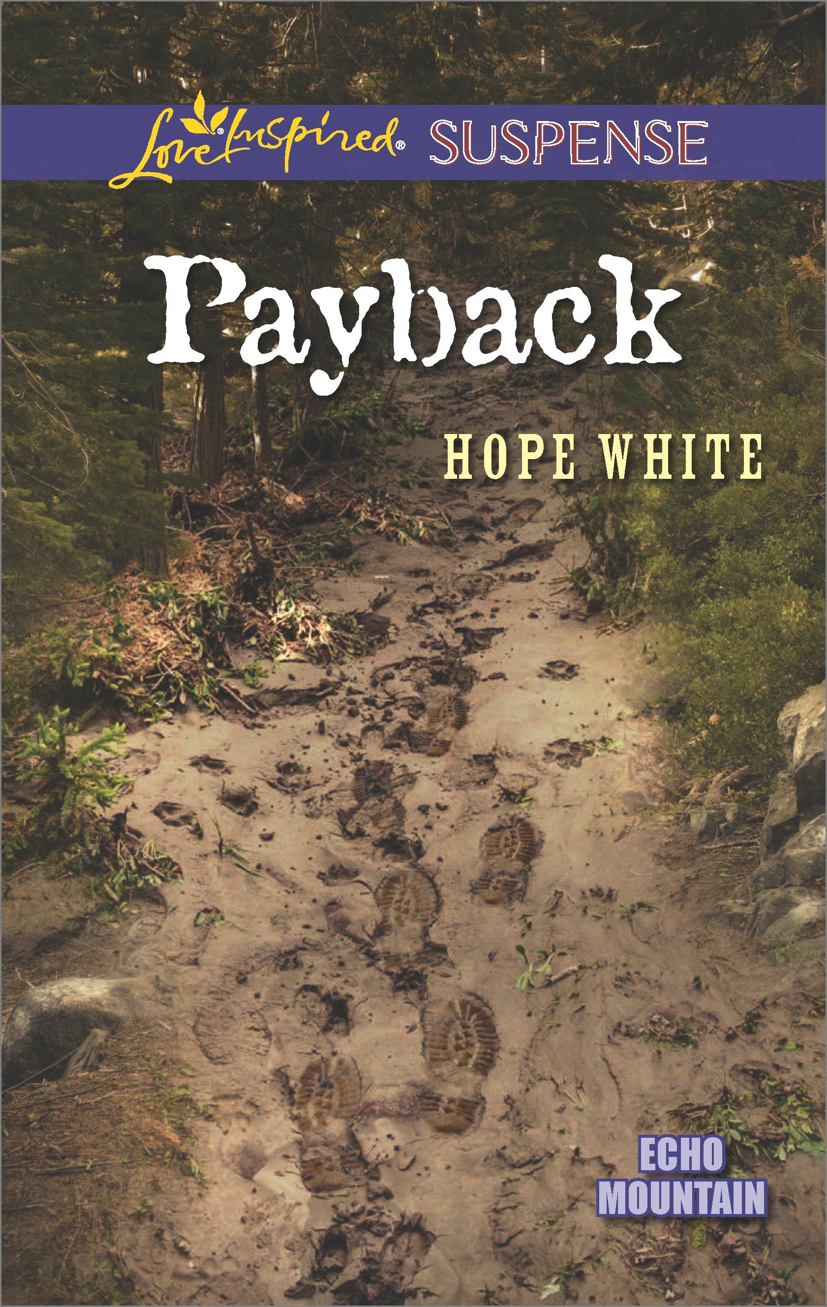 Payback Book Cover