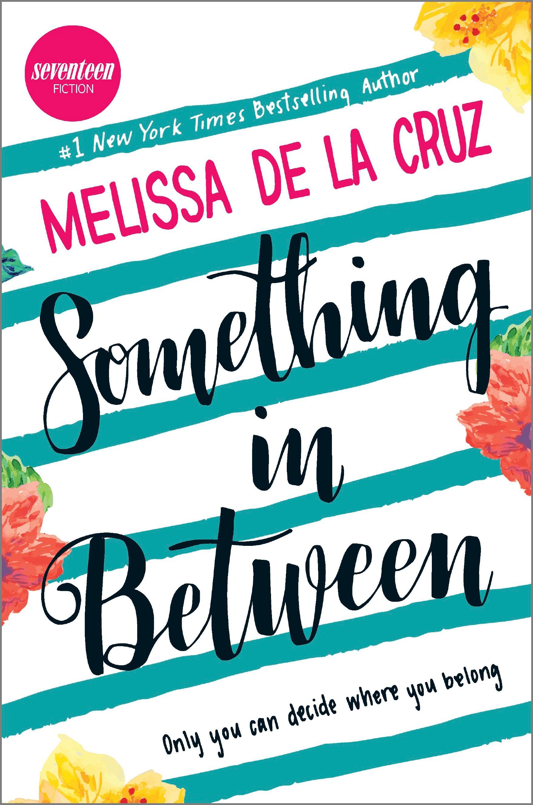 Something in Between Book Cover