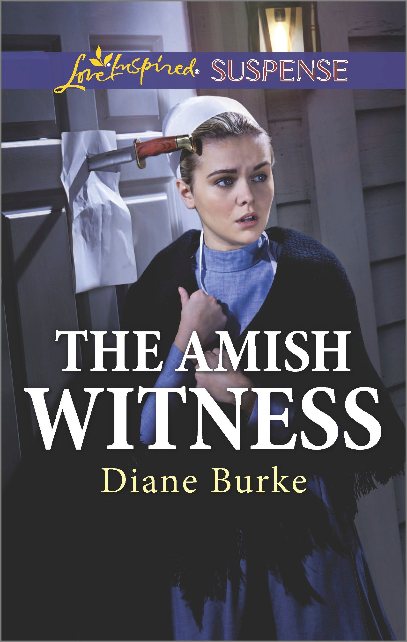 The Amish Witness Book Cover