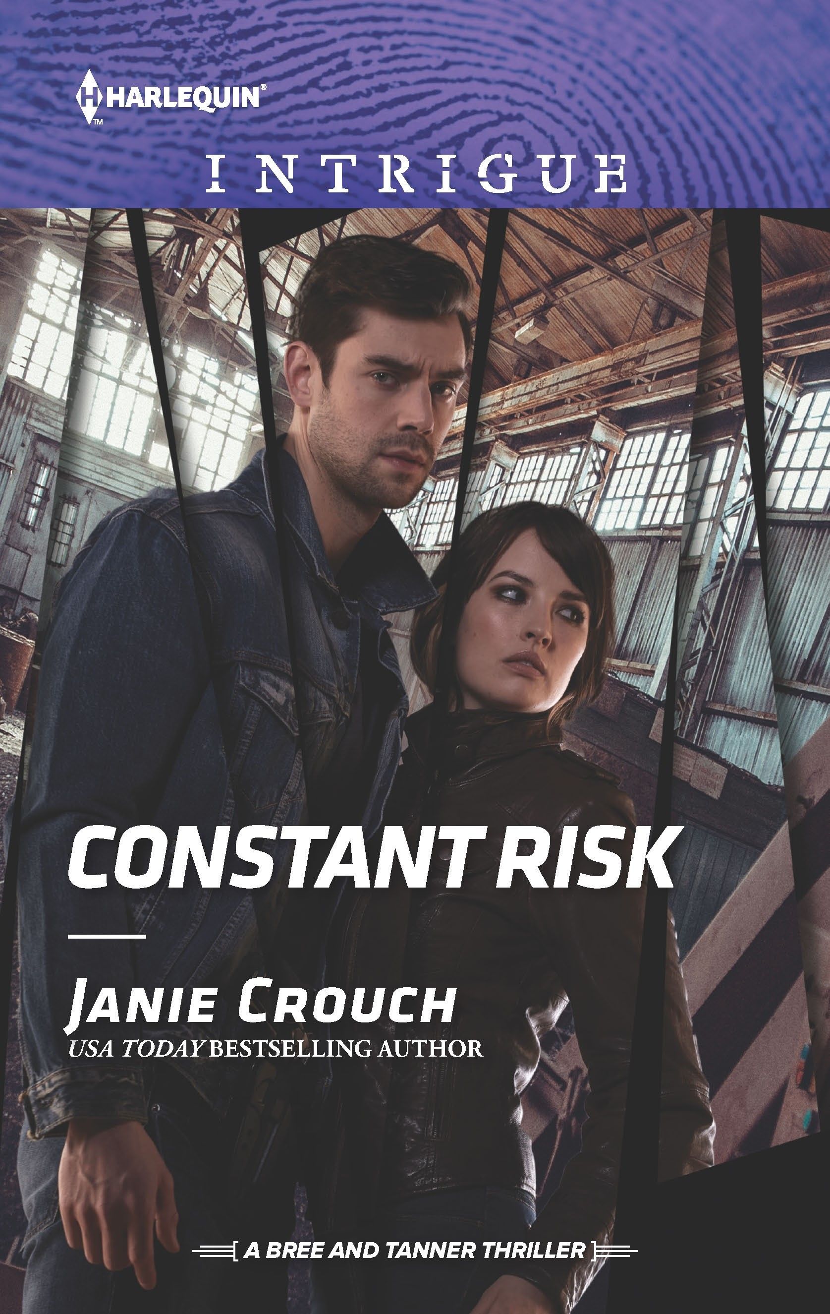 Constant Risk Book Cover