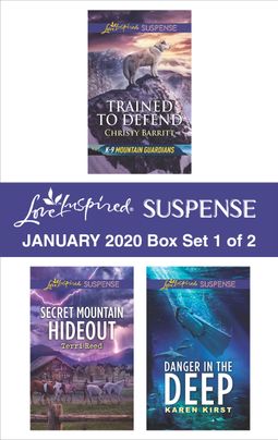 Harlequin Love Inspired Suspense January 2020 - Box Set 1 of 2