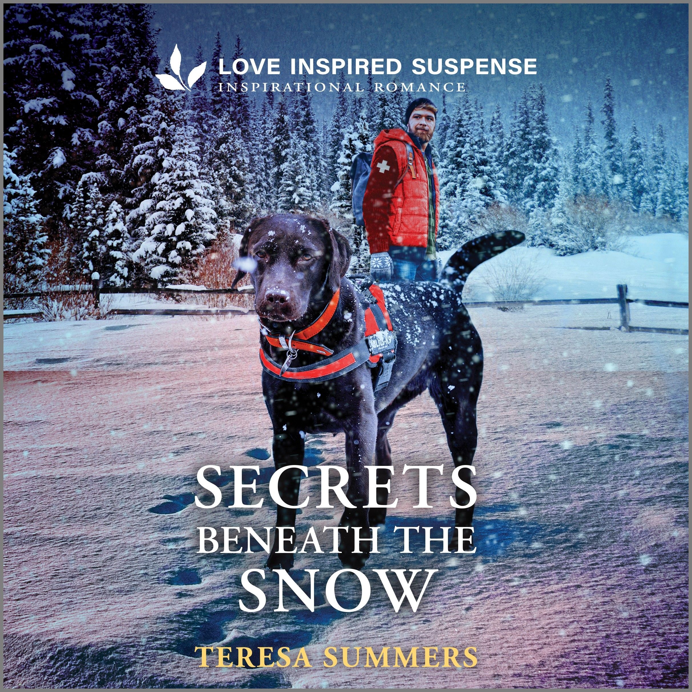 Secrets Beneath the Snow Book Cover