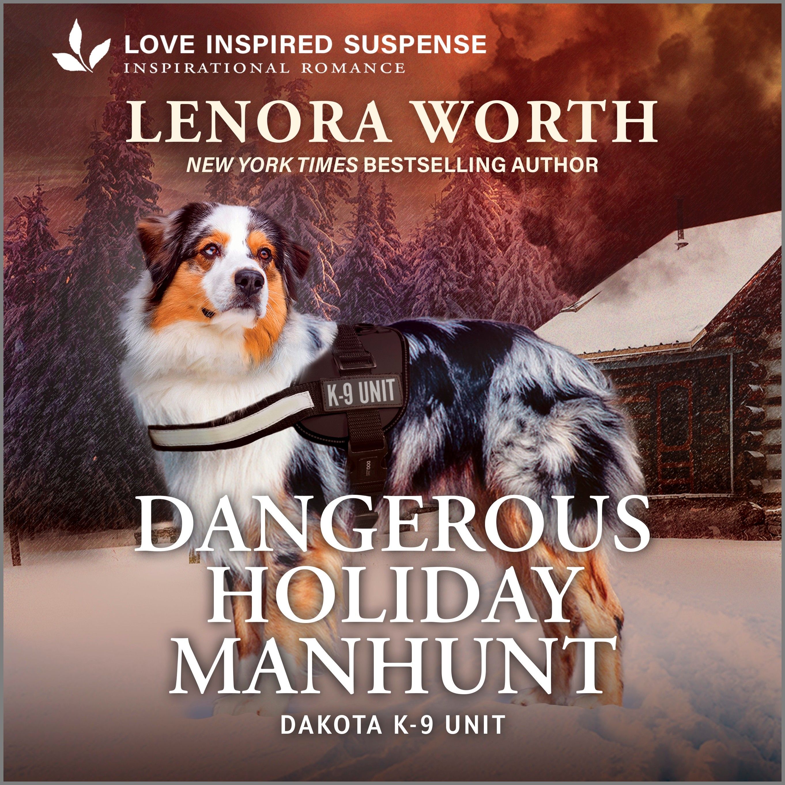 Dangerous Holiday Manhunt
