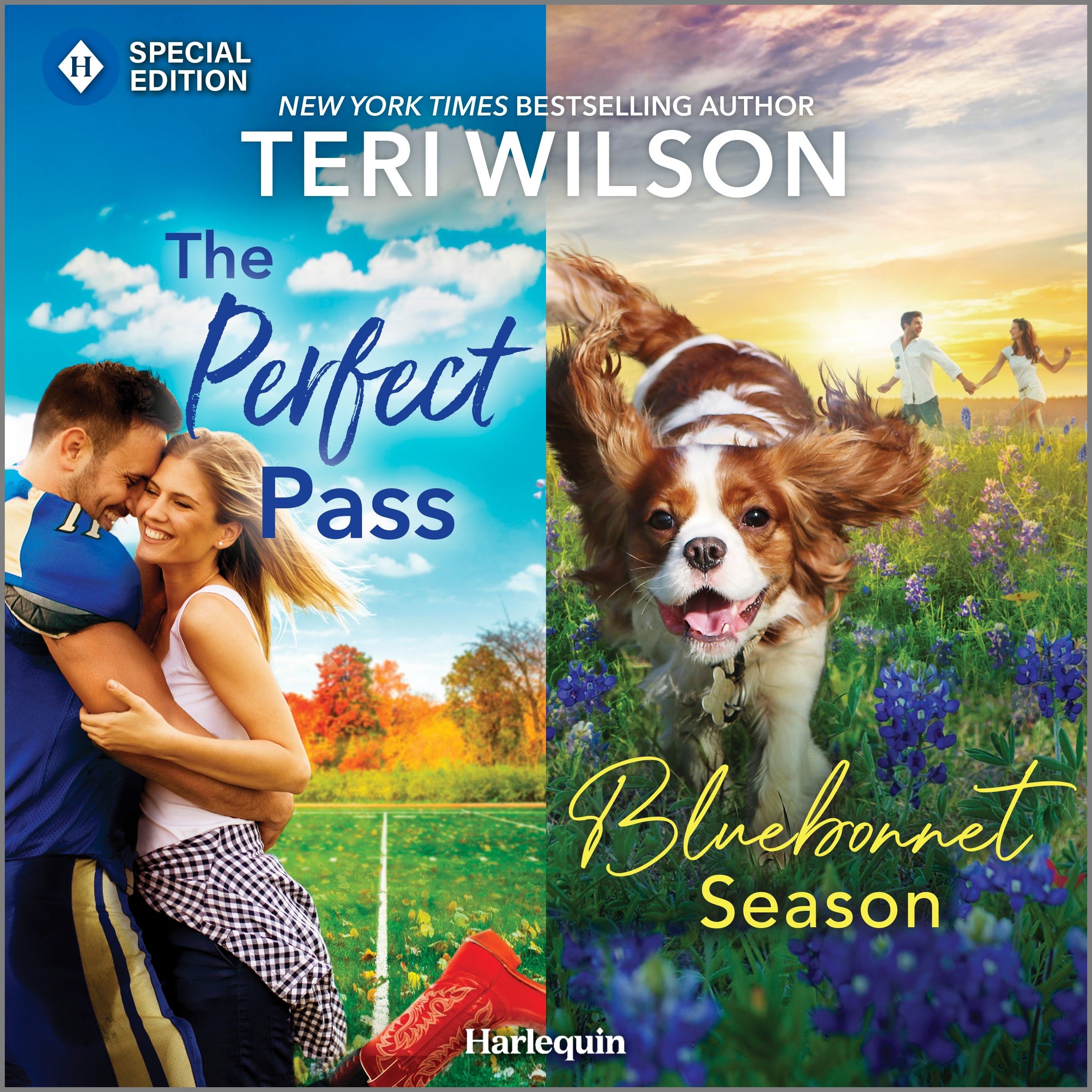 The Perfect Pass & Bluebonnet Season