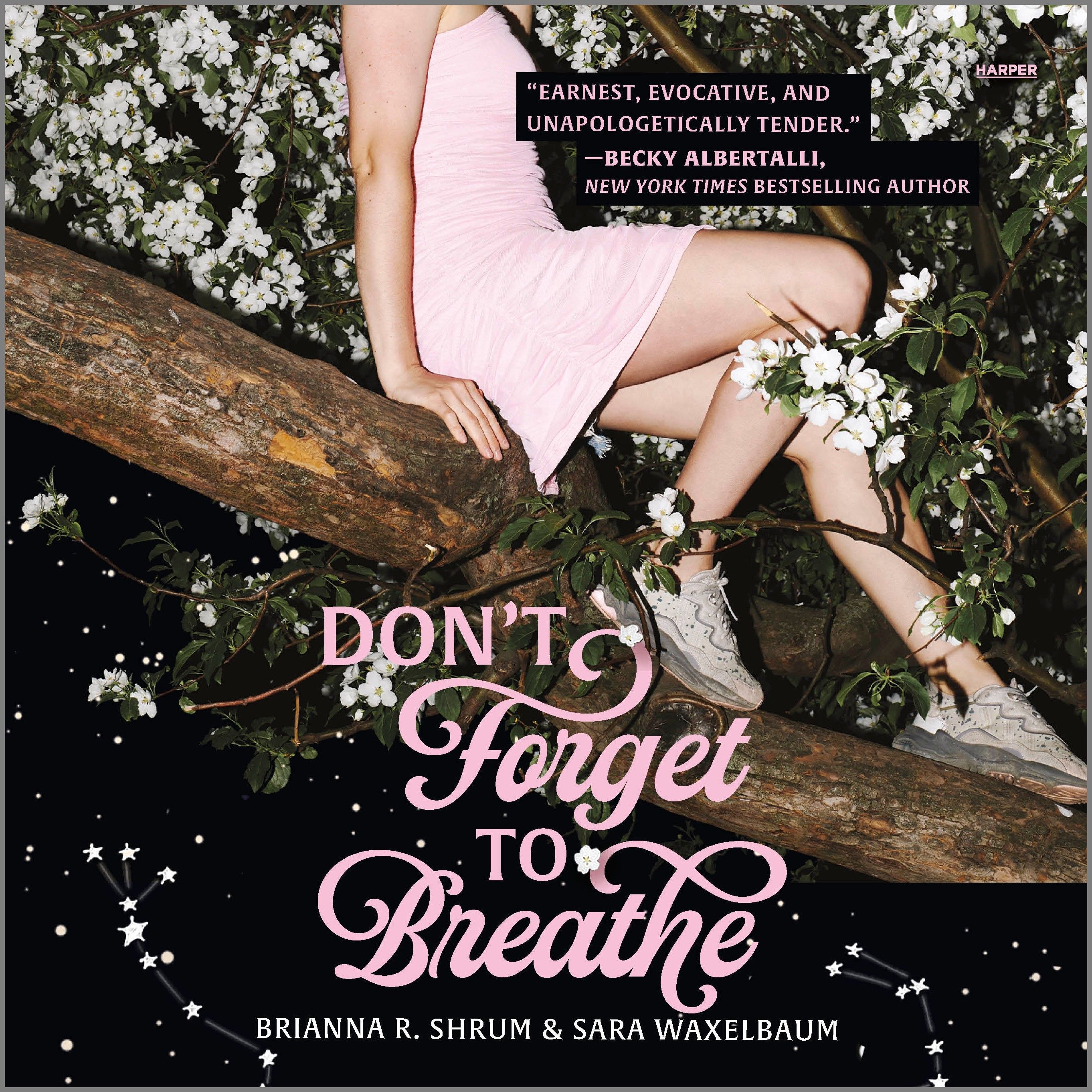 Don't Forget to Breathe Book Cover