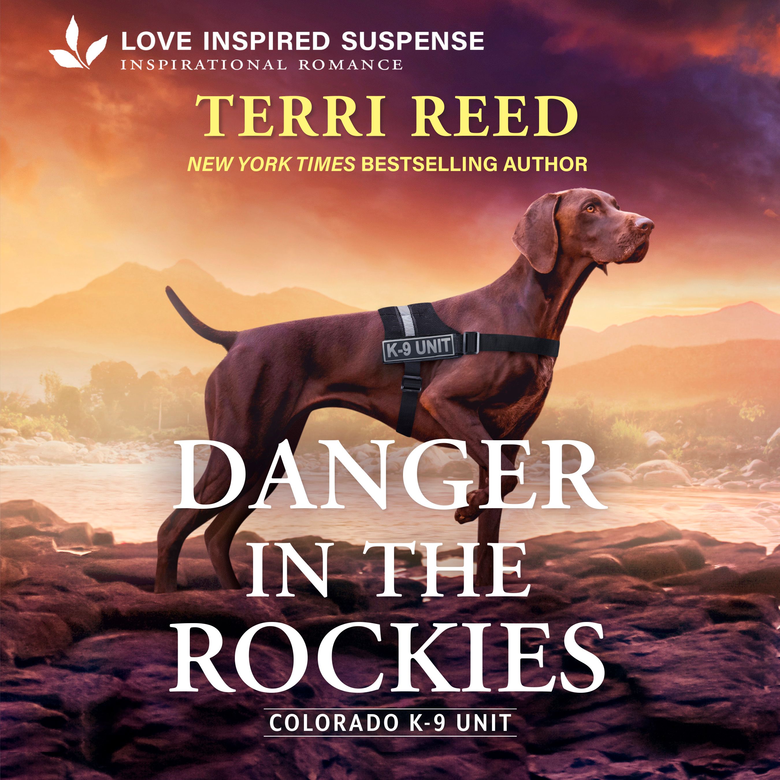 Danger in the Rockies Book Cover