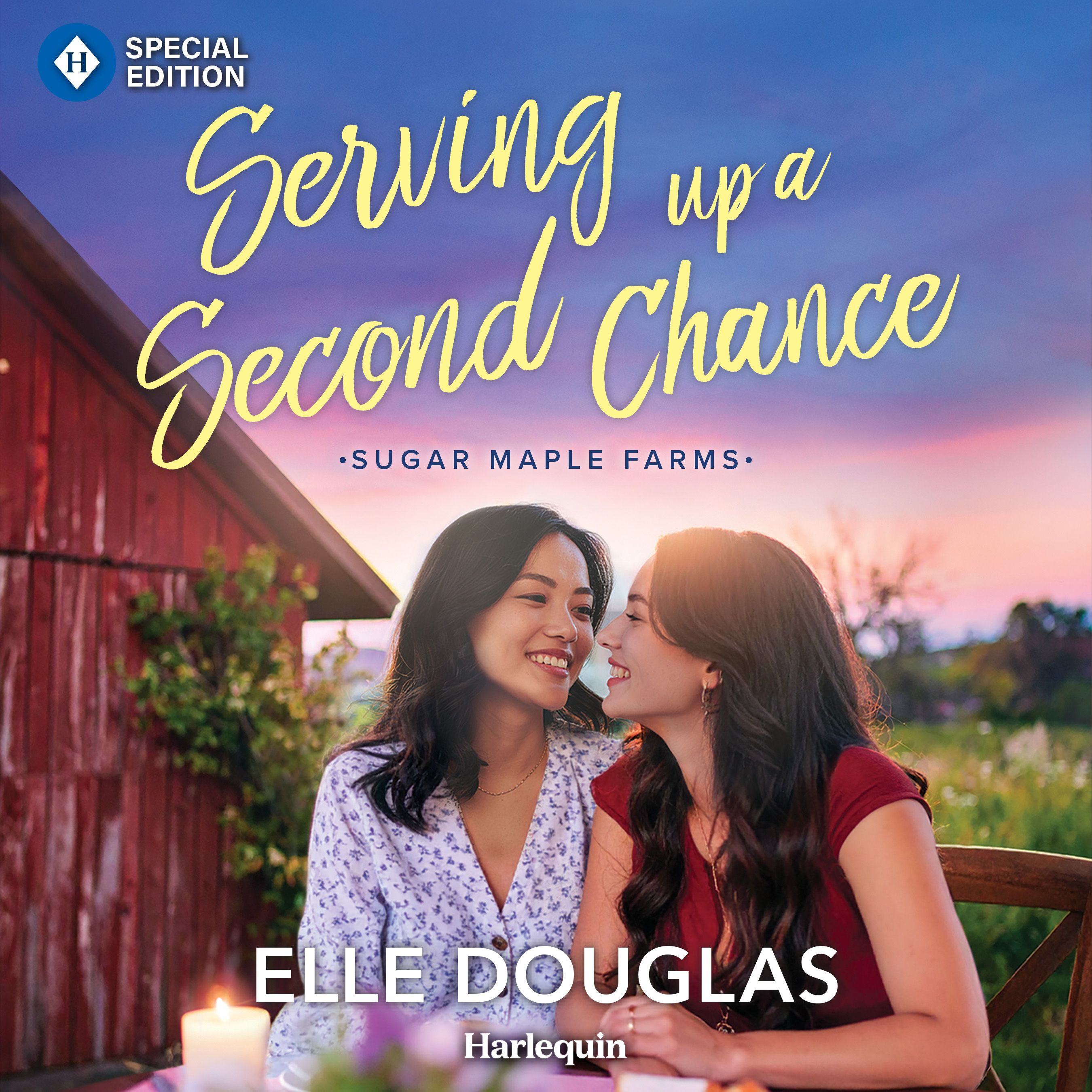 Serving Up a Second Chance Book Cover