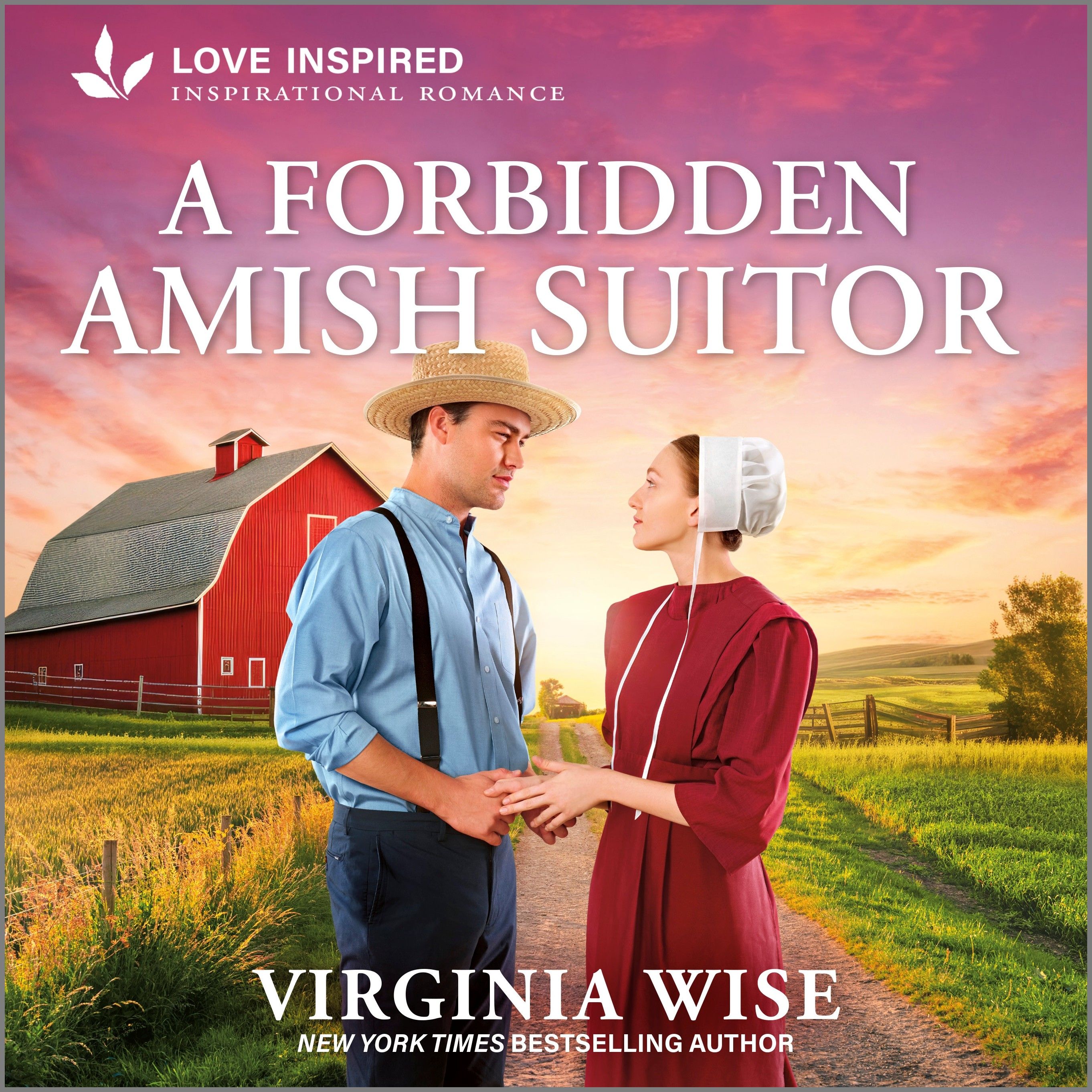 A Forbidden Amish Suitor Book Cover