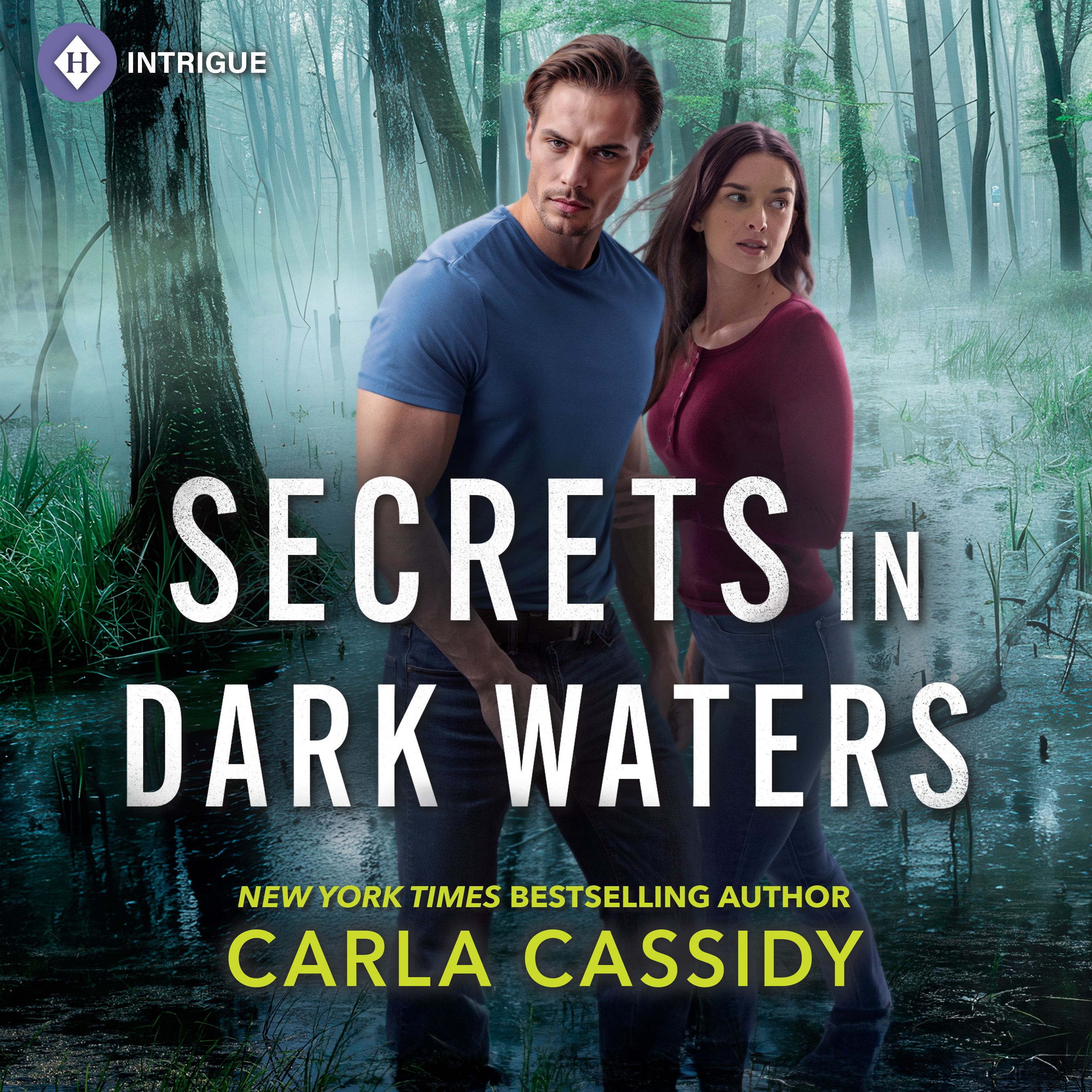 Secrets in Dark Waters Book Cover