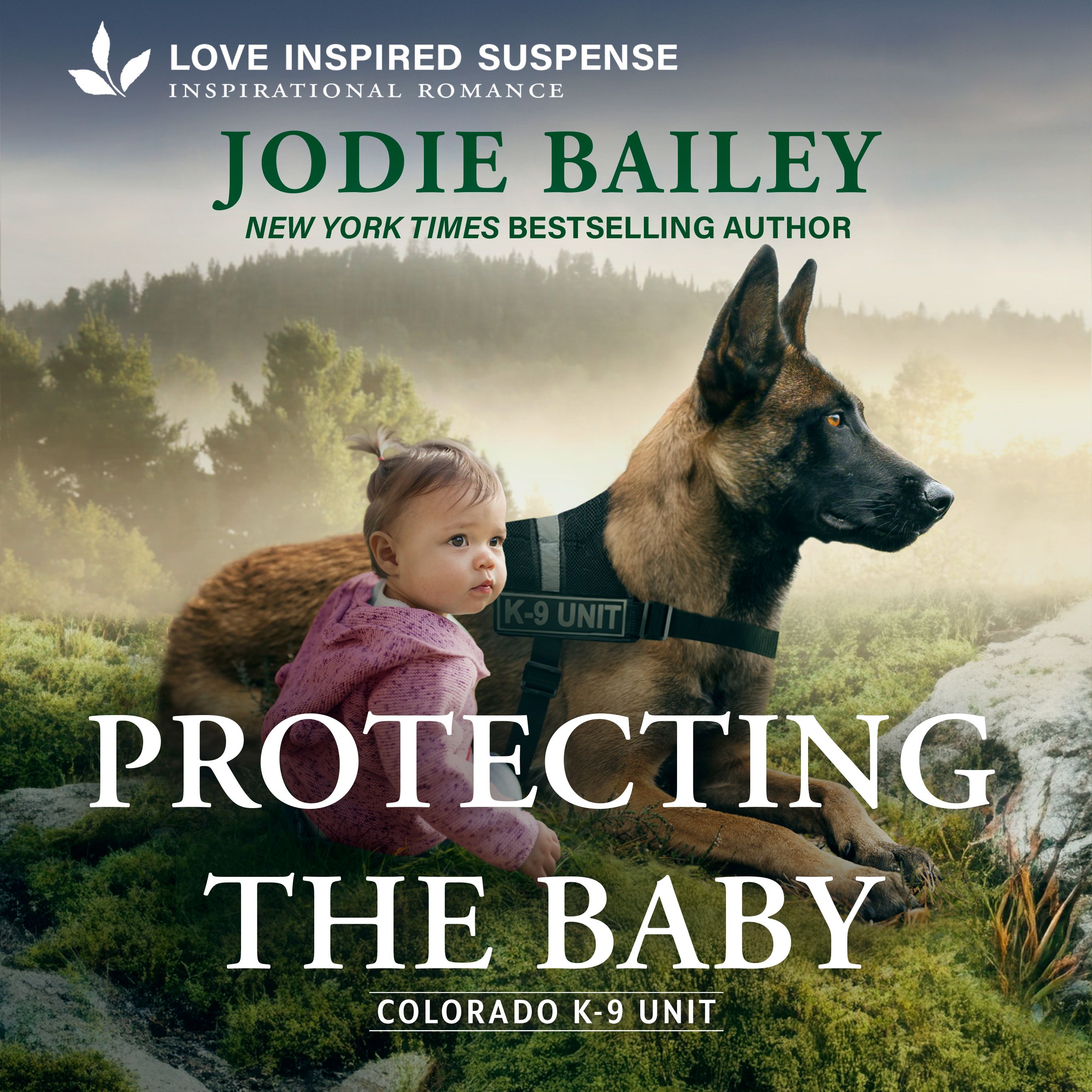 Protecting the Baby Book Cover