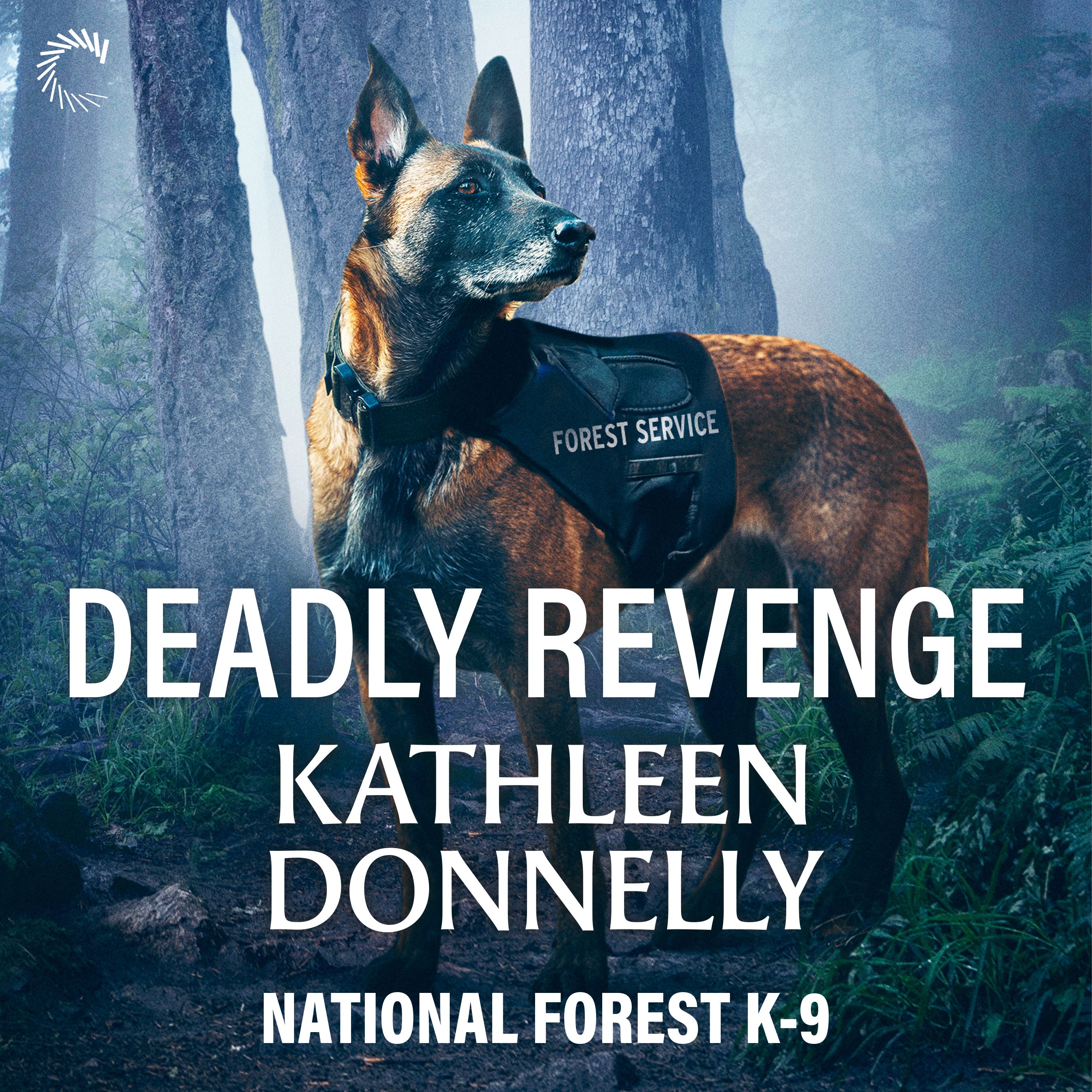 Deadly Revenge Book Cover