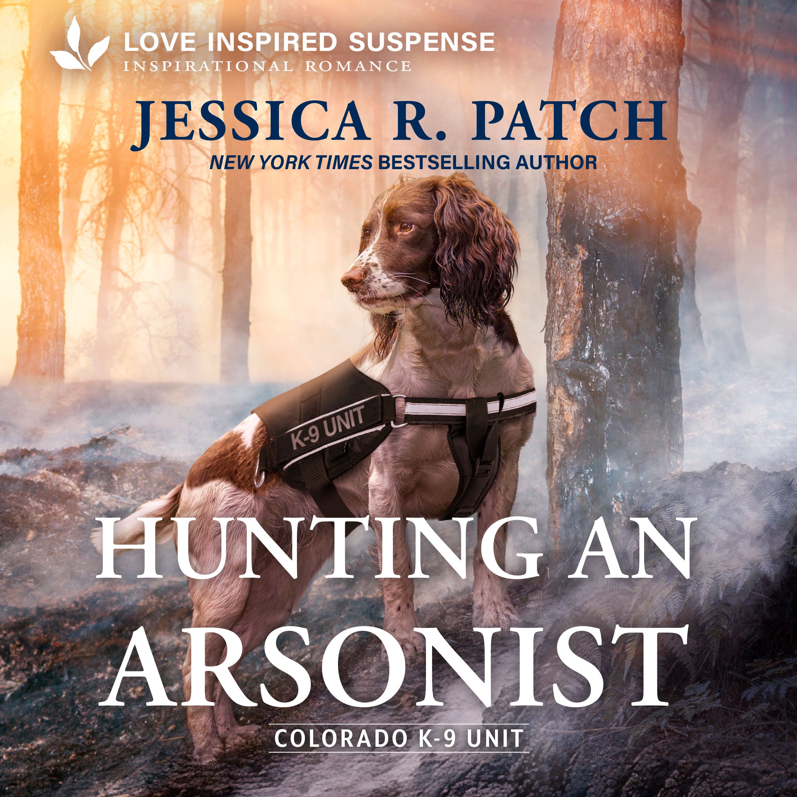 Hunting an Arsonist Book Cover