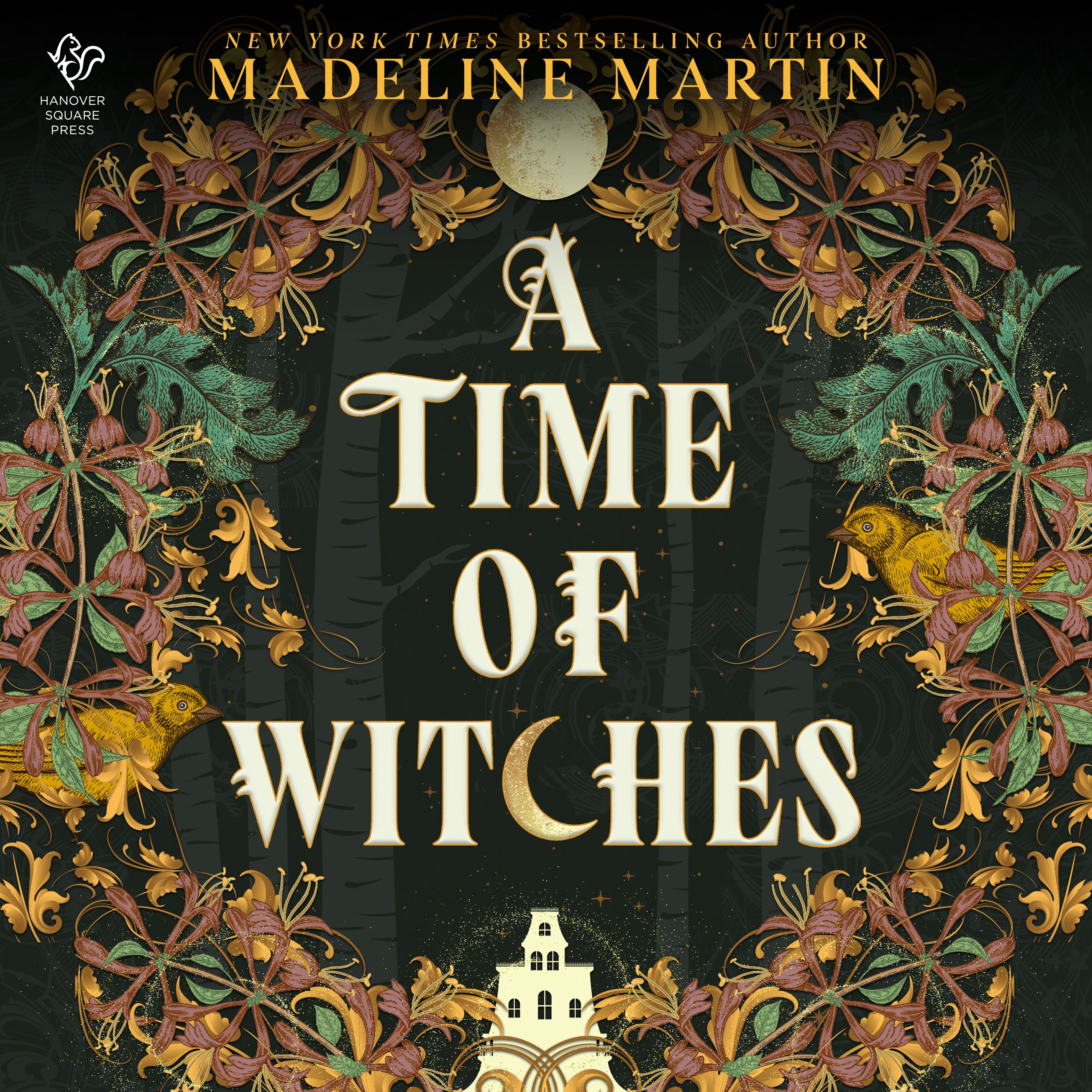 A Time of Witches Book Cover